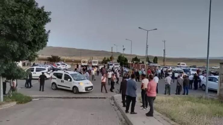نحلة تنهي حياة راعي تركي في بينغول