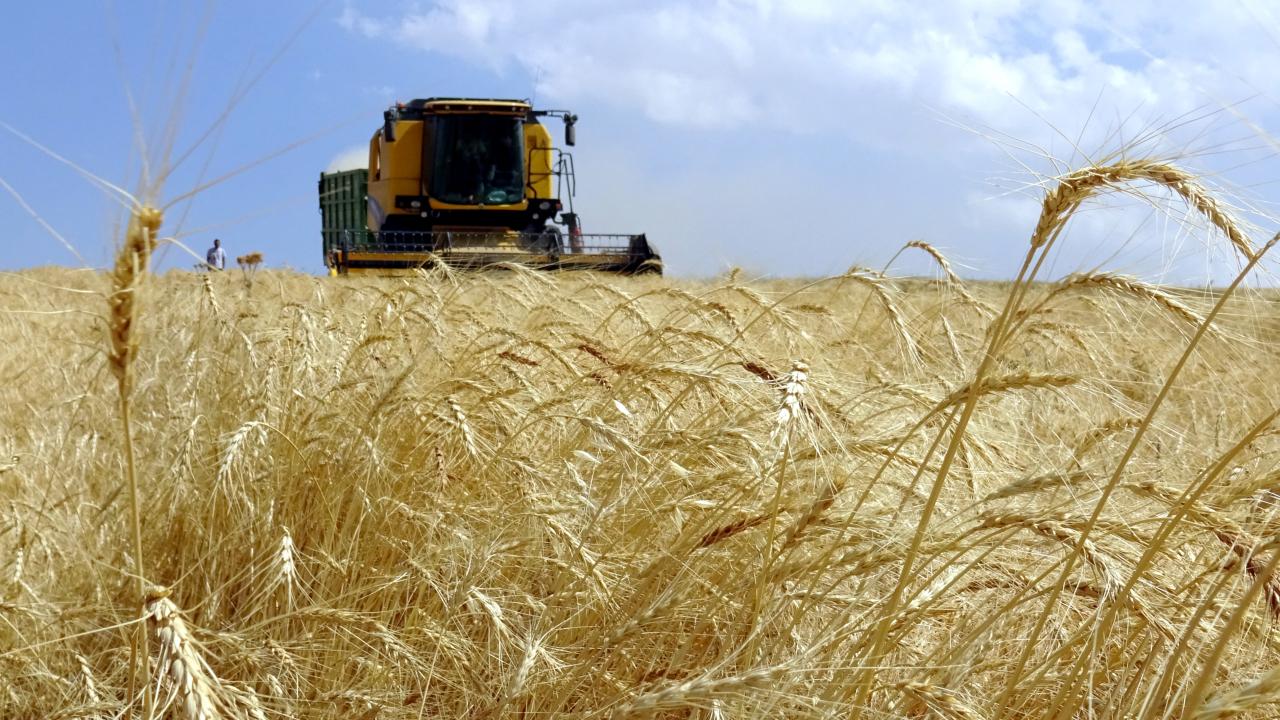 رقم قياسي.. الإنتاج الزراعي التركي يتجاوز 83.2 مليار دولار للمرة الأولى