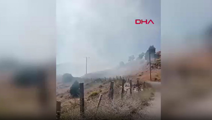 حريق يتلف نحو 4 دونمات من أرض زراعية في ألانيا التركية