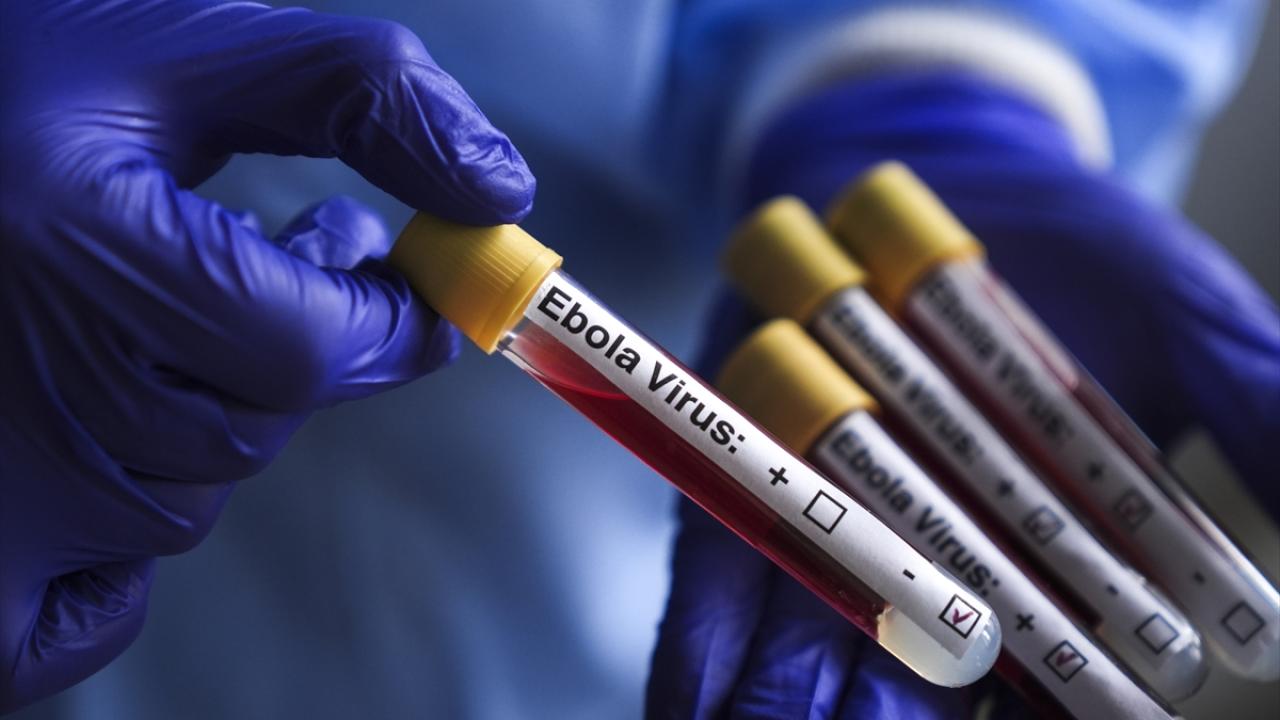 Demokratik Kongo Cumhuriyeti'ndeki Ebola vakaları 1.561'e ve 506 ölüme yükseldi