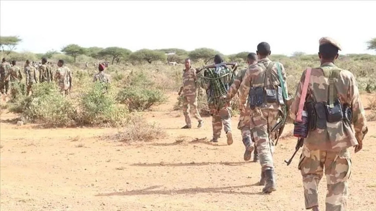 Somalia neutralizes a leader in the terrorist Al-Shabaab movement responsible for planning the attacks