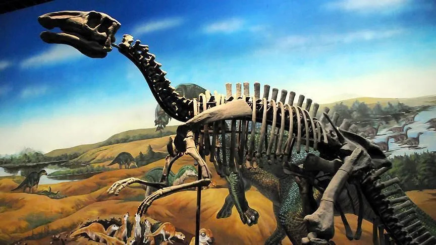 Tayland'da boyu 20 metreye ulaşan yeni bir dinozor türü keşfedildi