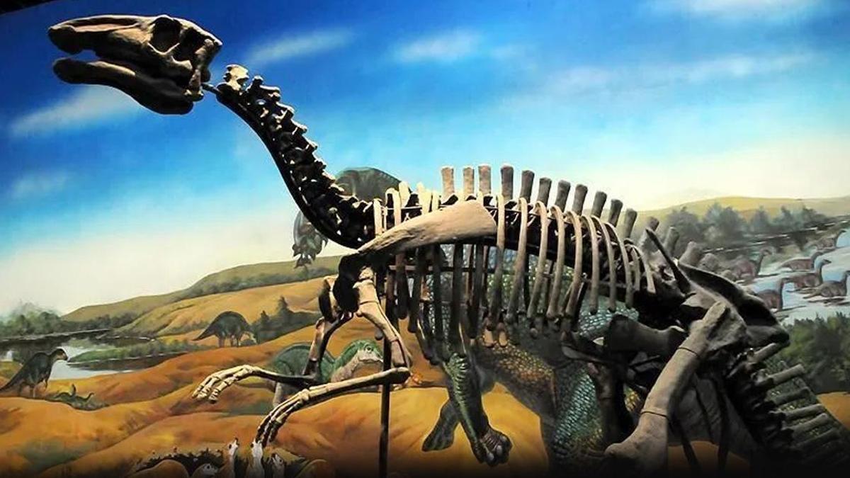 Scientists solve a 150-million-year-old mystery in a historic scientific discovery