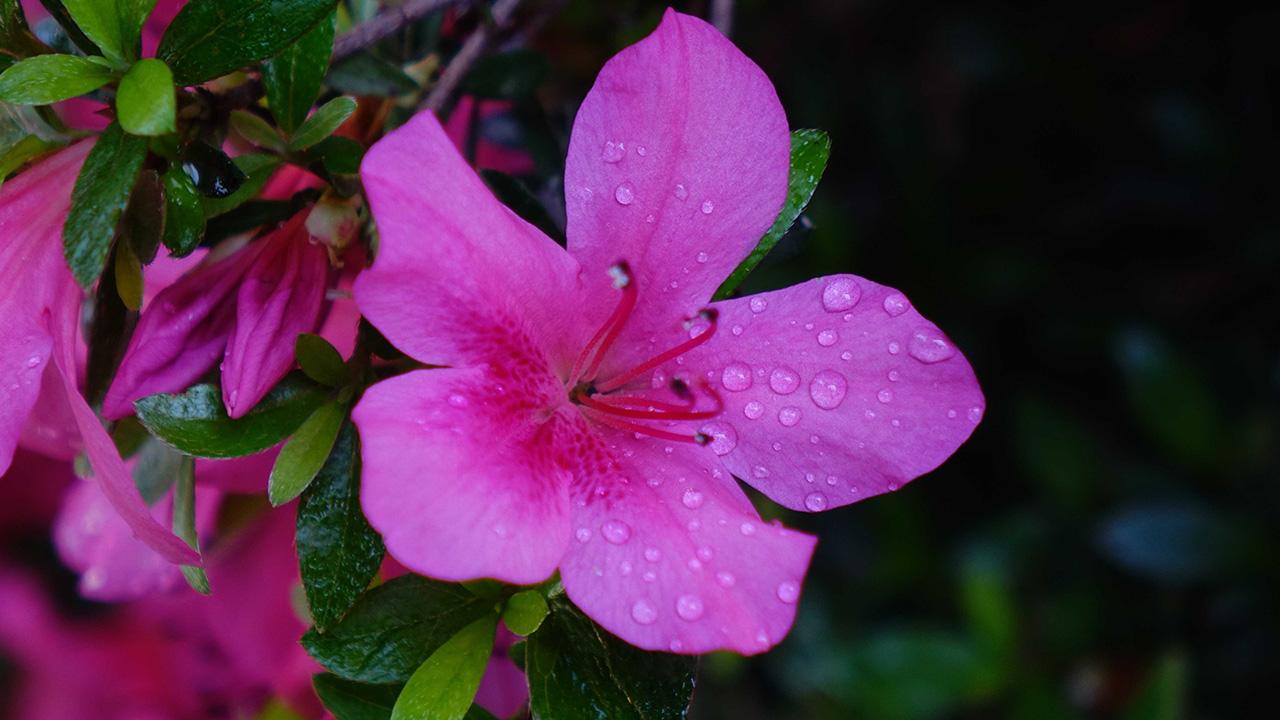 Temperatures reach their peak in Türkiye and scattered rain reduces the heat in some states