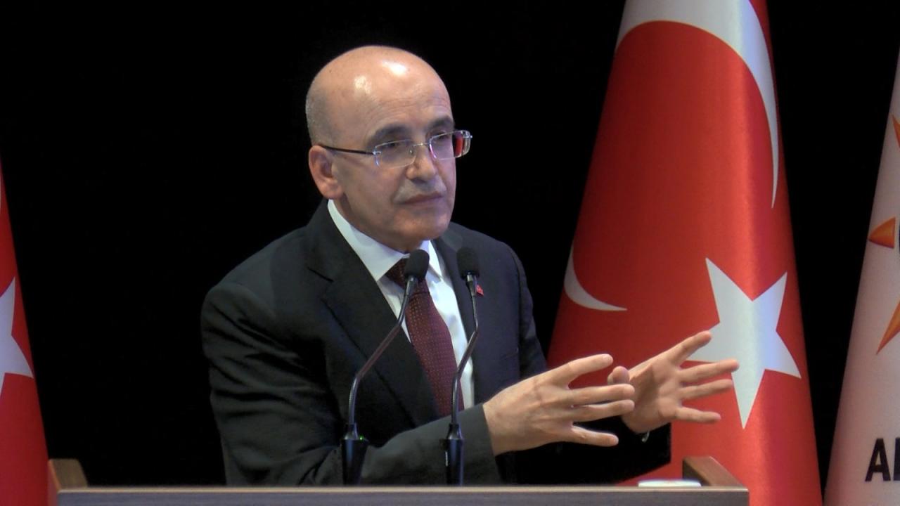 Turkish Treasury Minister: The new status of Batman Airport will support regional development