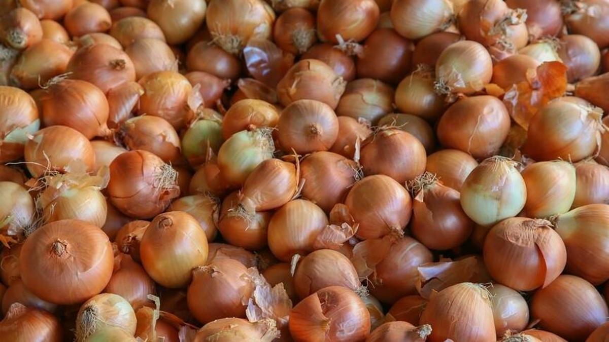 Türkiye temporarily reduces customs duties on importing dry onions to 5%